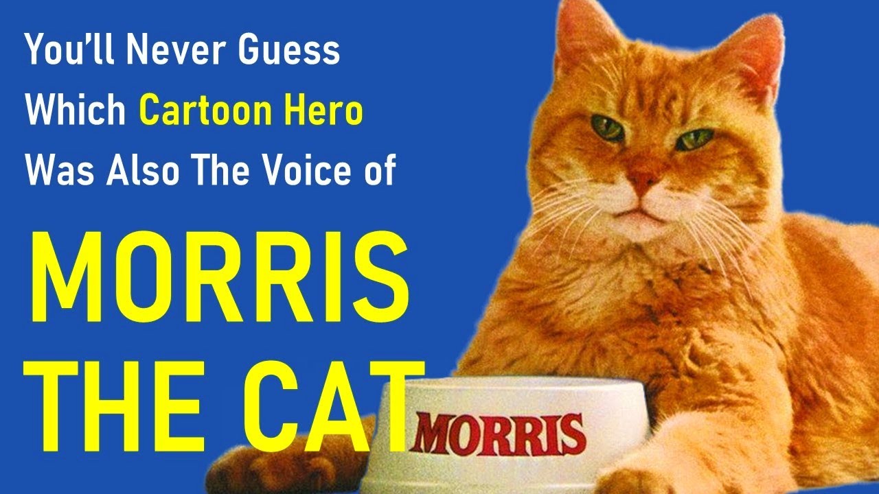 The SECRET IDENTITY of TV's 