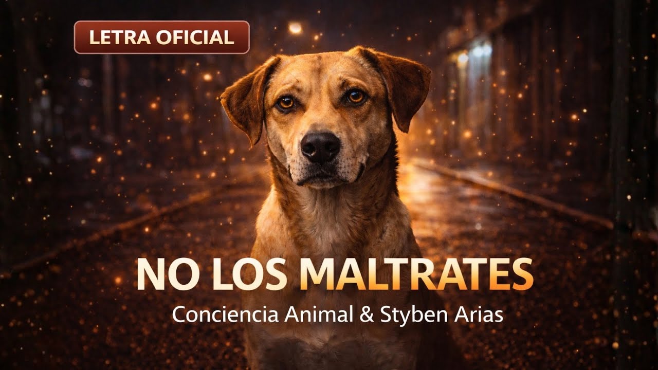 No los maltrates – Letra oficial | Conciencia Animal