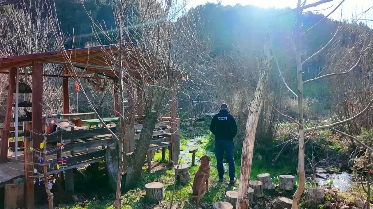 AŞIRI SOĞUKLAR...🌨️❄️☃️ DOĞADAKİ CANLAR BESLENMEZSE HAYATTA KALAMAZ🐈🐶🐓