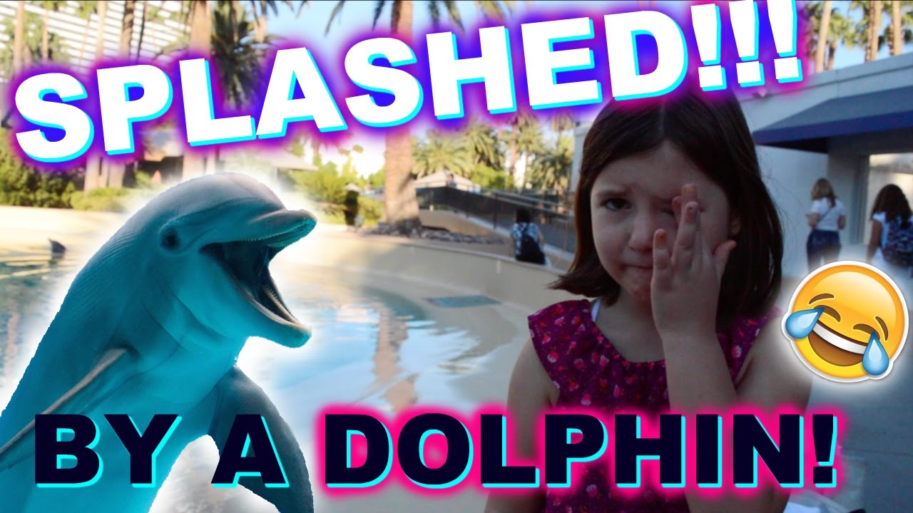 Siegfried and Roy's Secret Garden and Dolphin Habitat | Sedona Fun Kids TV