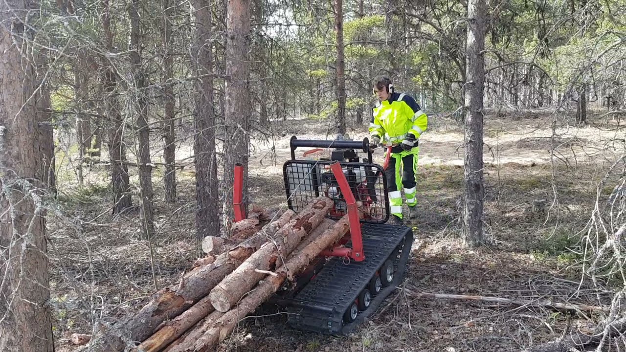 Lätt skogsbruk med Järnhästen