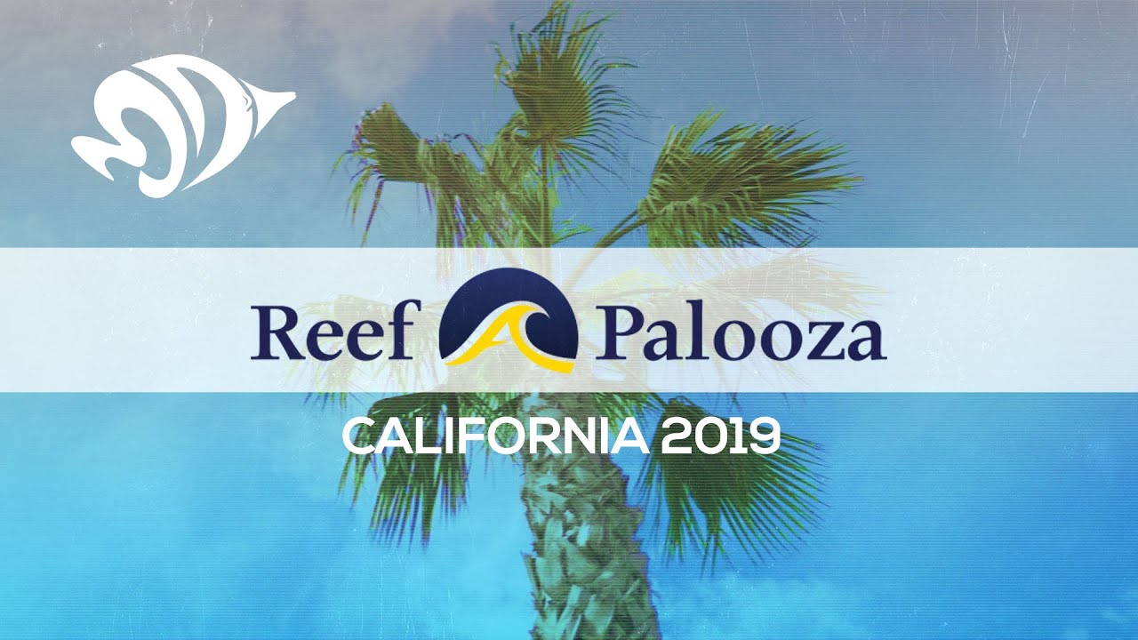 Reef-A-Palooza Anaheim 2019: Marine Depot wRAP-UP