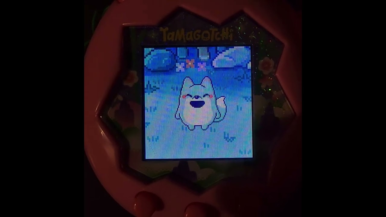 Tamagotchi Paradise || 30 day tama star saves current tama from death!!