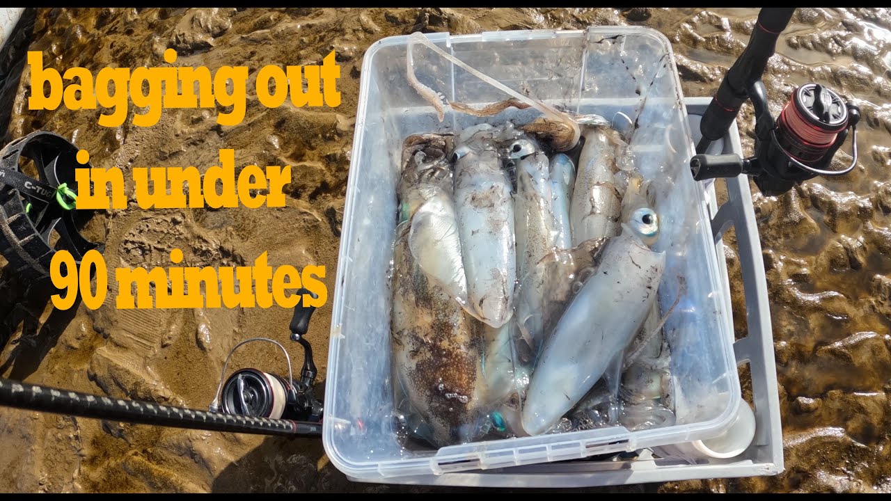 SQUID FISHING WERRIBEE SOUTH