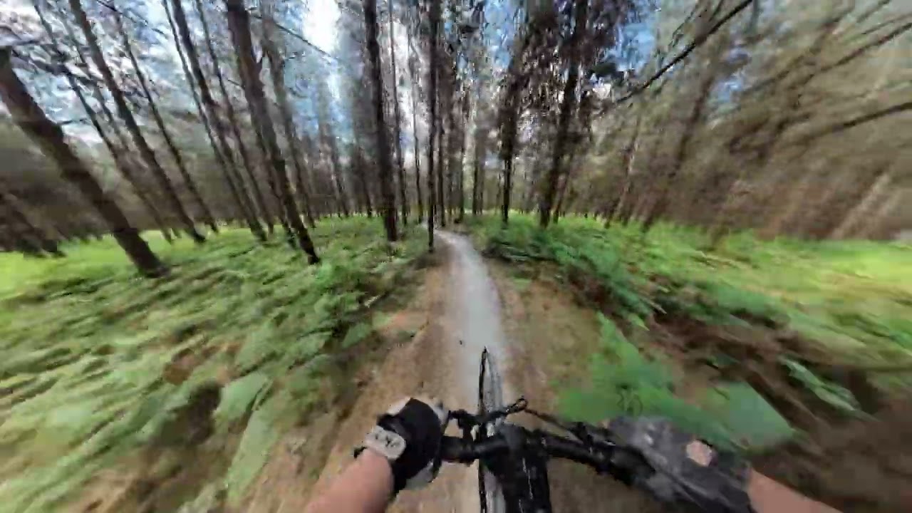 Helter Skelter Thetford Forest Cycle Trail
