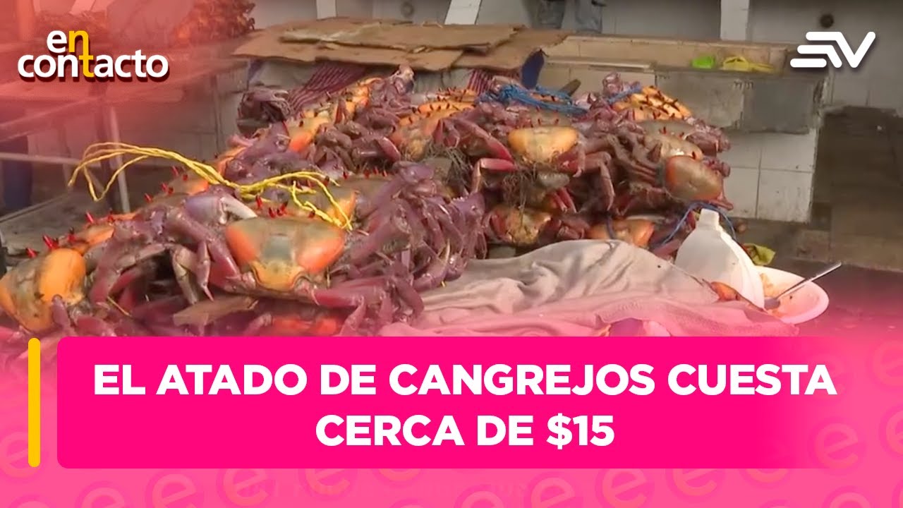 El atado de cangrejos cuesta cerca de $15 |  En Contacto | Ecuavisa