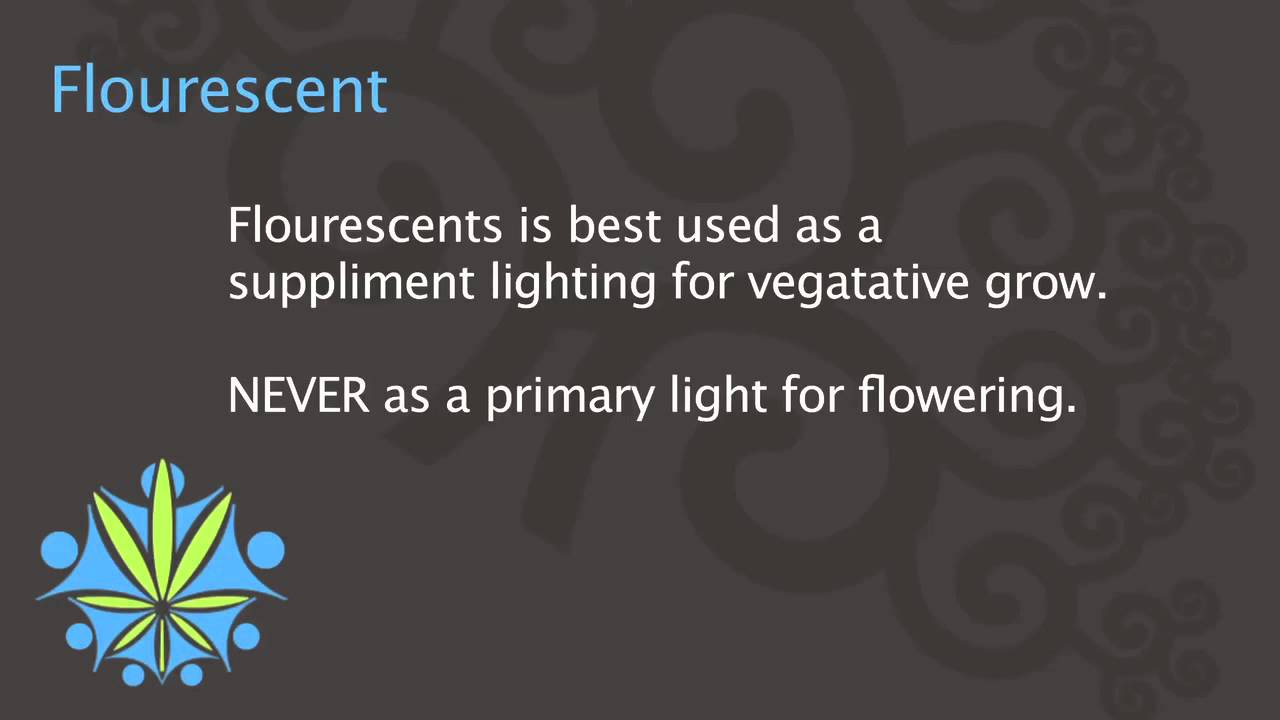 Cannabis University - Lighting - Flourescent