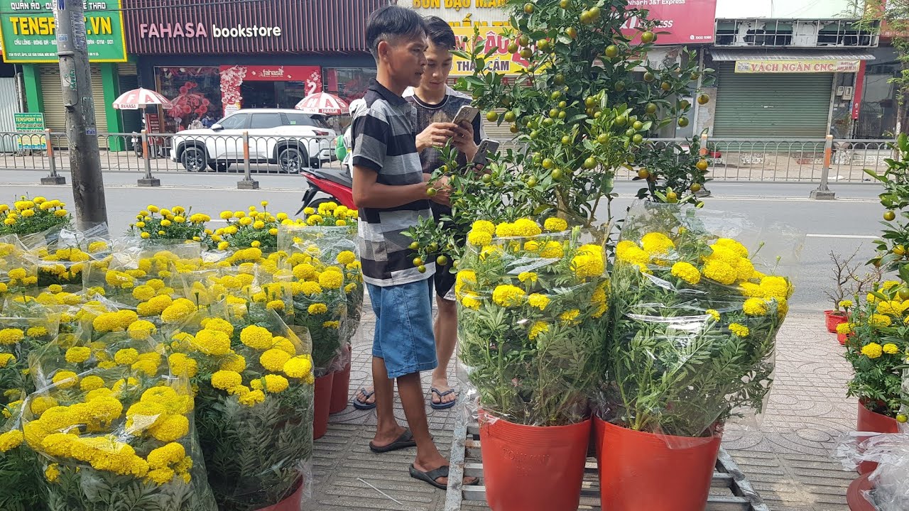 Hướng Dẫn Đường Đi Đến Trại Cá Kiểng DiamondDa