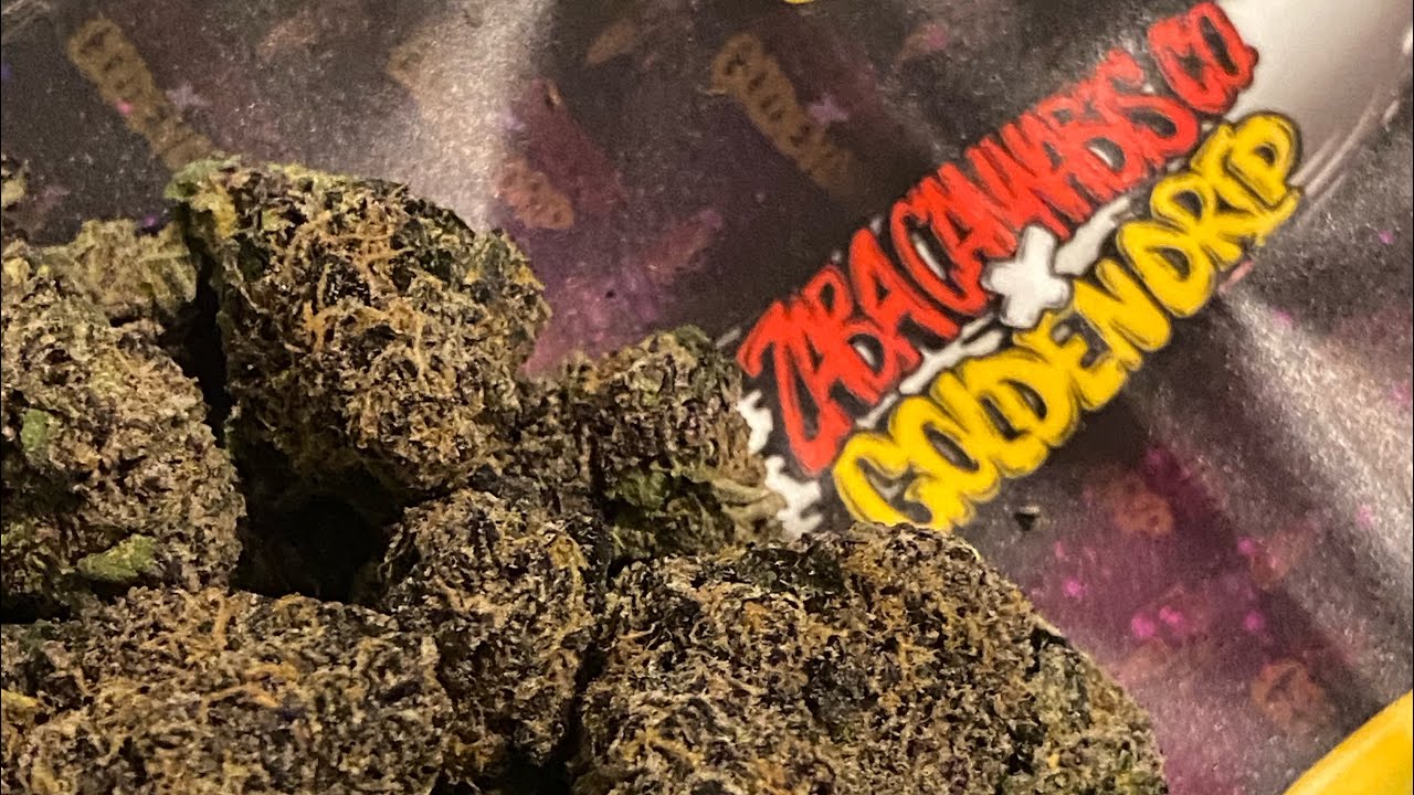 Zaba Cannabis x Golden Drip 🚀🔥 Exotic Strain Review &bull; The420World 🌍