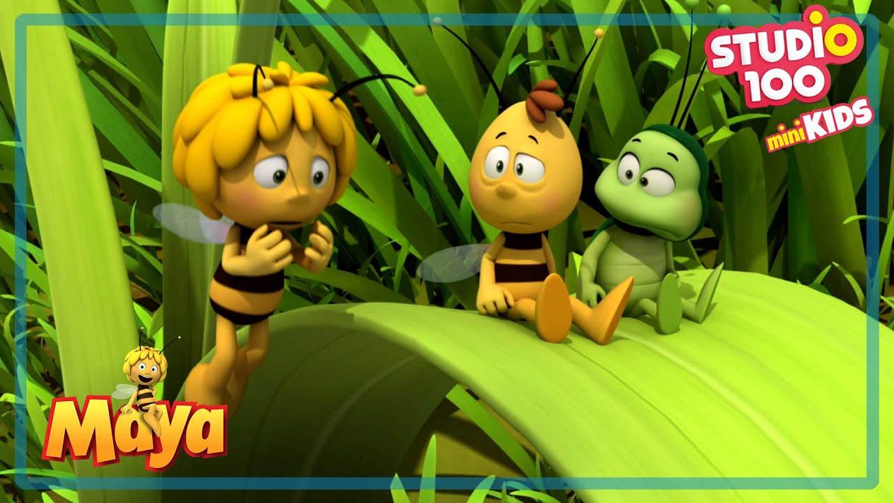 Should We Help the Frogs? - Maya the Bee🐝🍯🐝