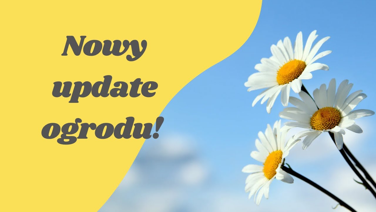 Nowy update ogrodu ! / Holland Vlog# 162
