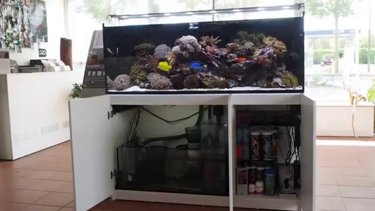 RedSea - Reefer 450 - Tunze - Daytime