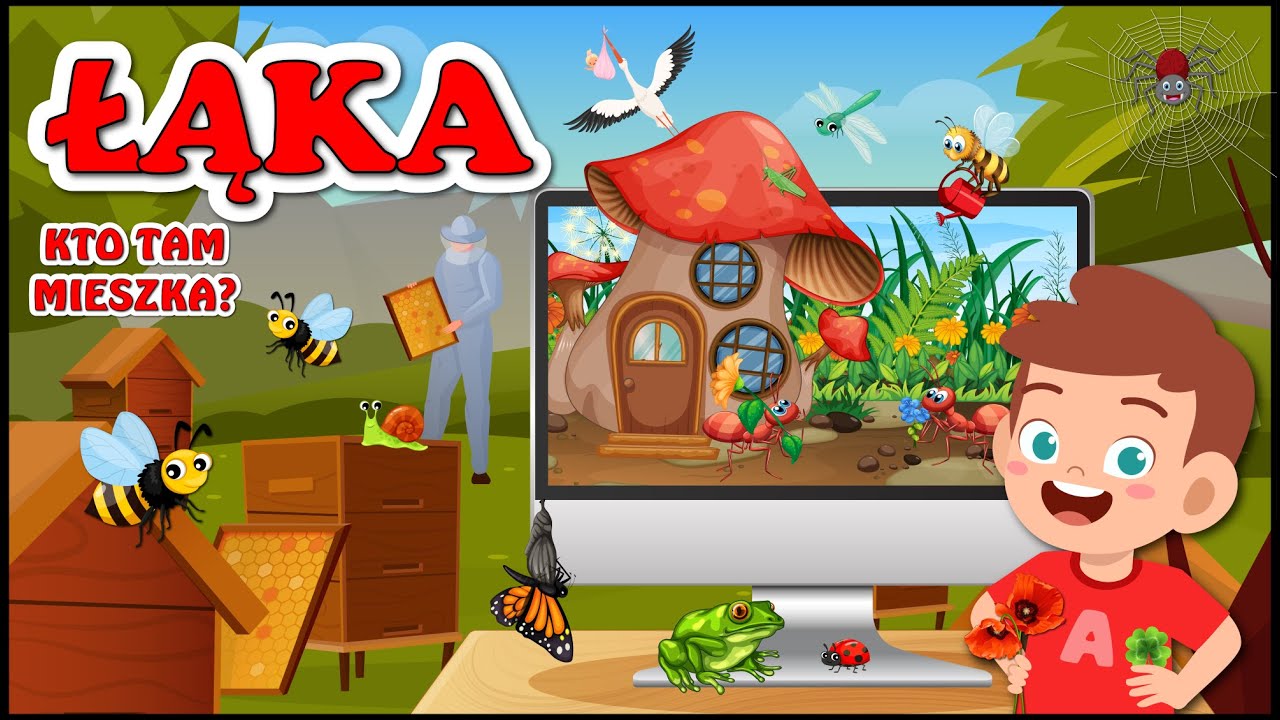 Karolek i zwierzęta na łące  🦋🐸🐞🕷️ i rośliny 🌺🌼🍀 Bajka edukacyjna 🐝🐜🐛