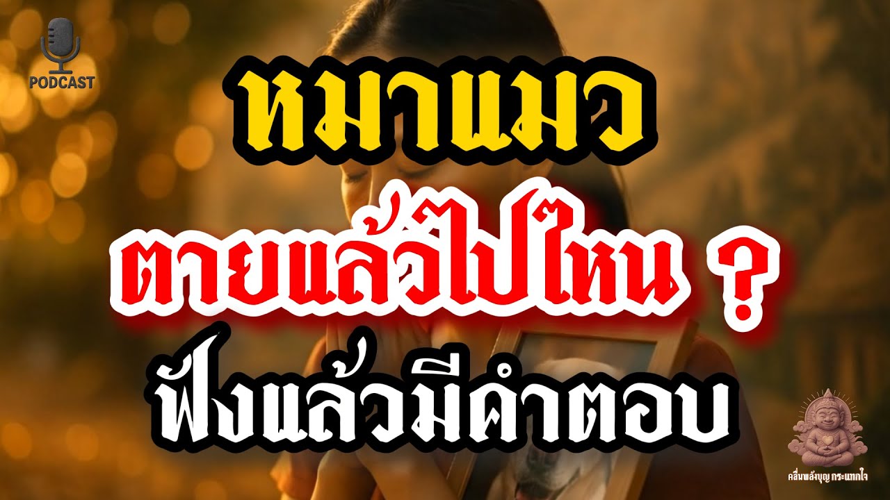 หมา-แมวที่ตาย ไปไหน? เขามีกรรม-มีภพภูมิแบบไหน? | คลื่นพลังบุญกระแทกใจ