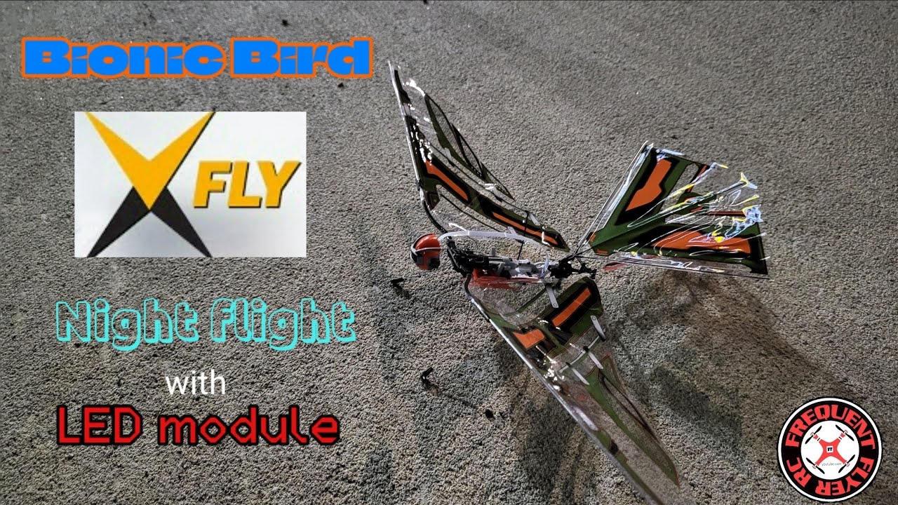 Революционный орнитоптер Bionic Bird X-Fly совершил первый ночной полет (со светодиодами) 🔥