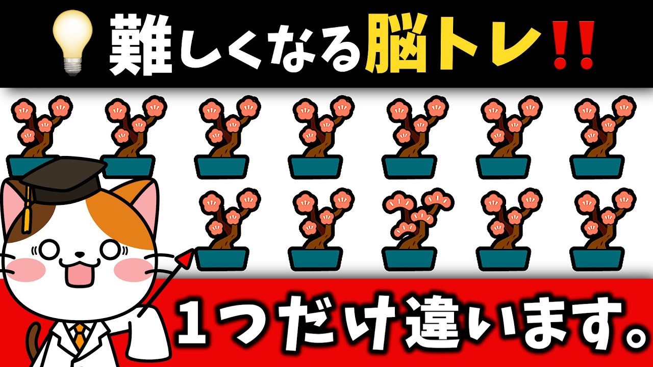 🍵全部見つけたら凄い！30代でも難しい高齢者向け脳トレ【和室編】