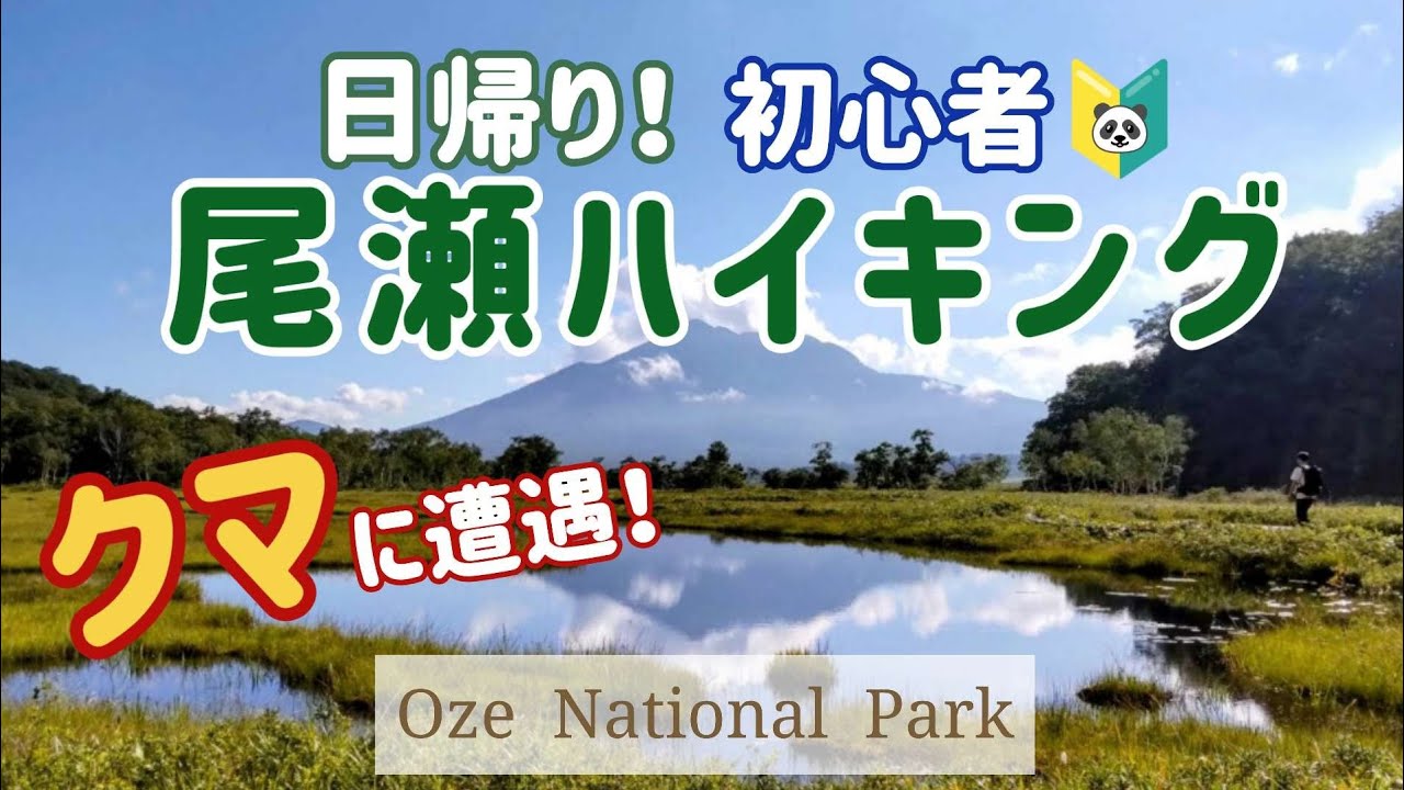 【夏の尾瀬ハイキング】約5時間・往復12㎞♪絶景の尾瀬ヶ原を目指して👣