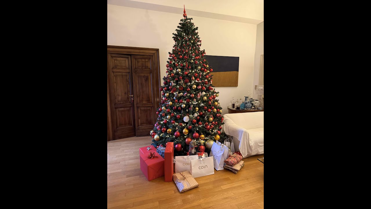 260107 Albero di Natale 2025