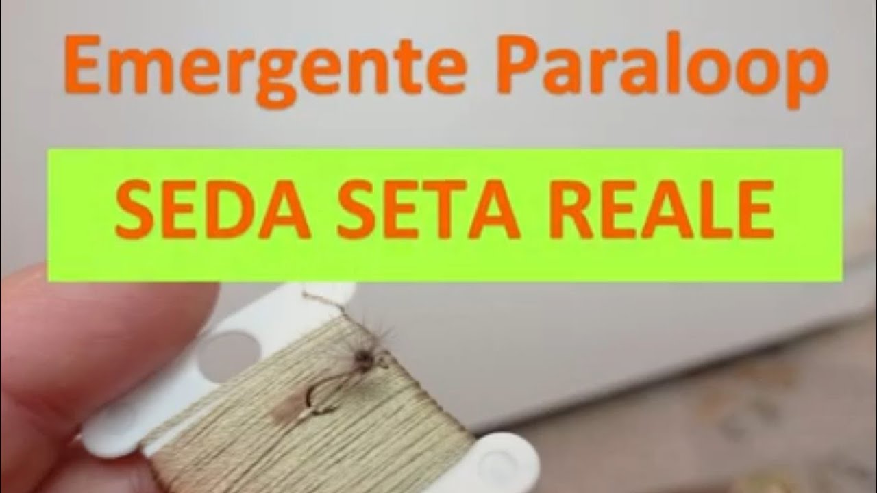 🎣 Montaje Emergente 