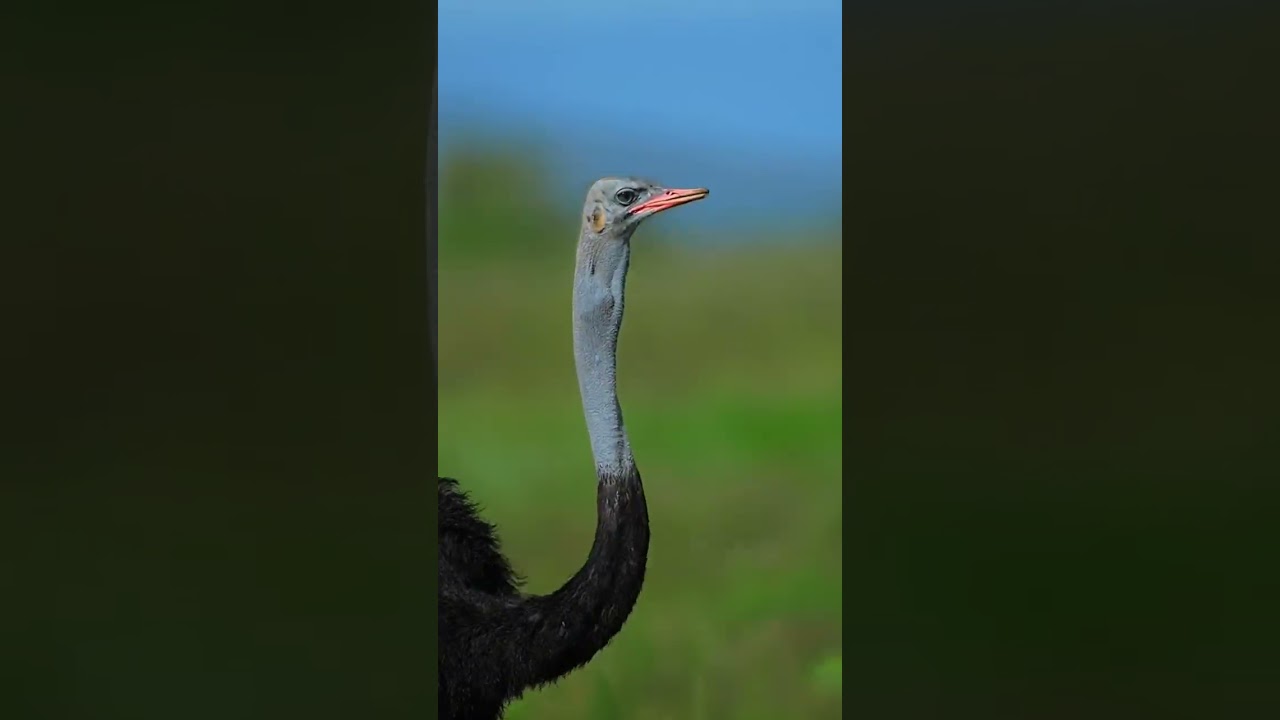 #naturlovers #wildlife