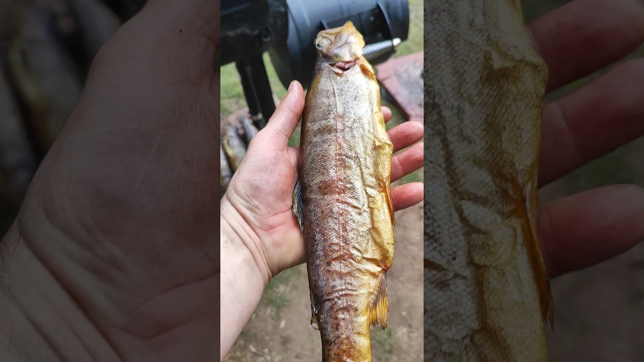 Риба гарячого копчення #fishing #природа #любовь