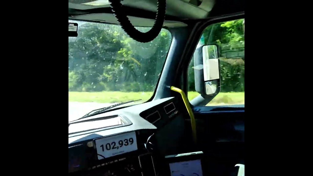 Unexpected DOT Full Body Cavity Search on Highway Car Hauler #DOT #HighwayIncident