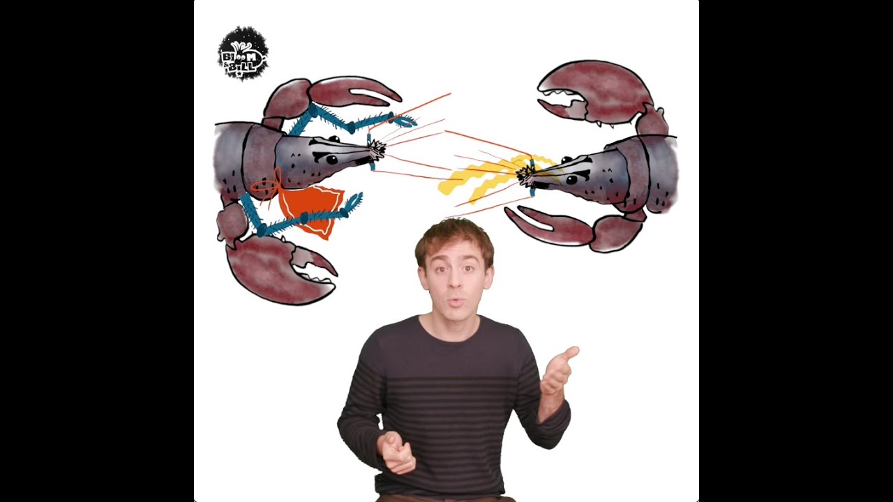BLOOM & BILL EP2 - Le homard