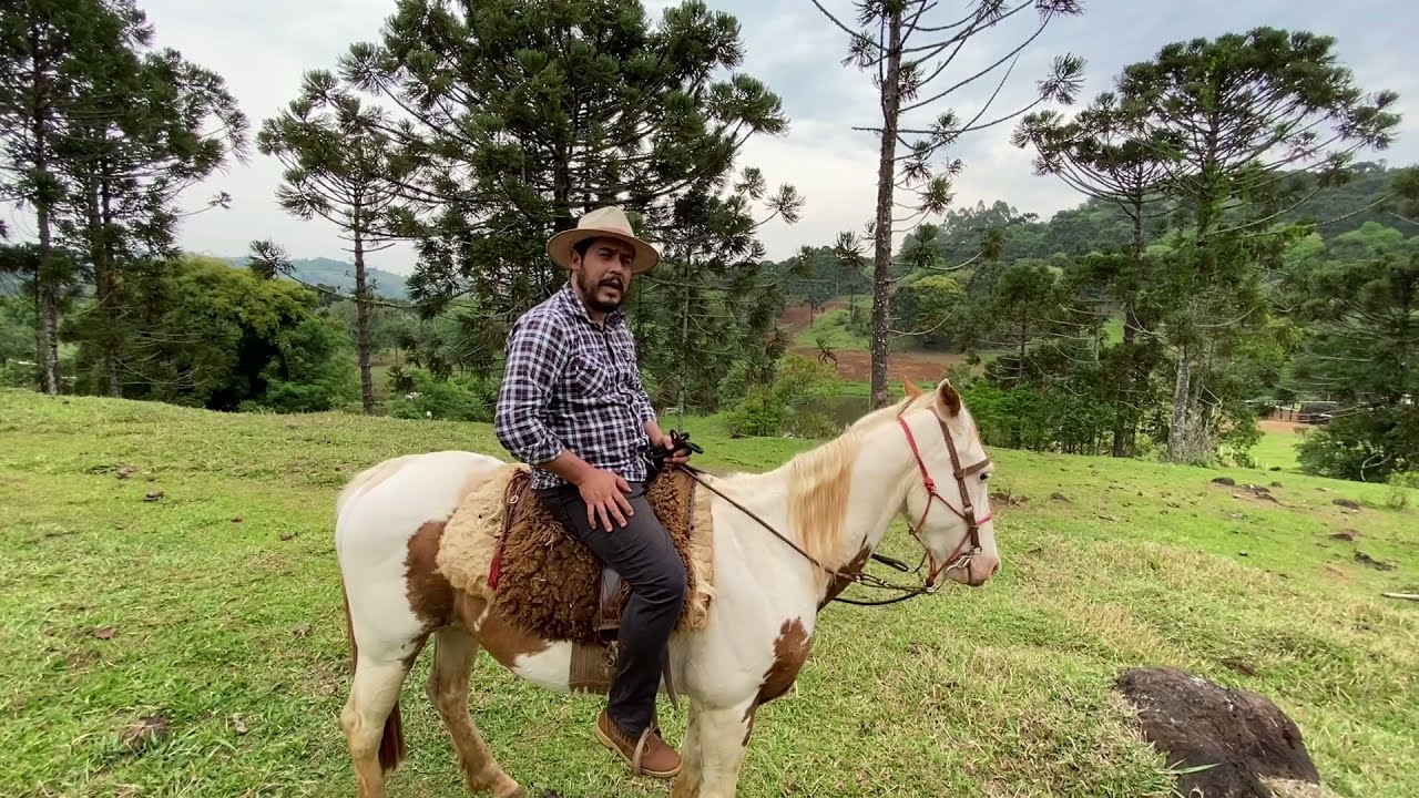 (VENDIDA) Uma Baguá de FAZENDA p/ Pecuária á Venda no Paraná com 243 alqueires, mangueira, muita.