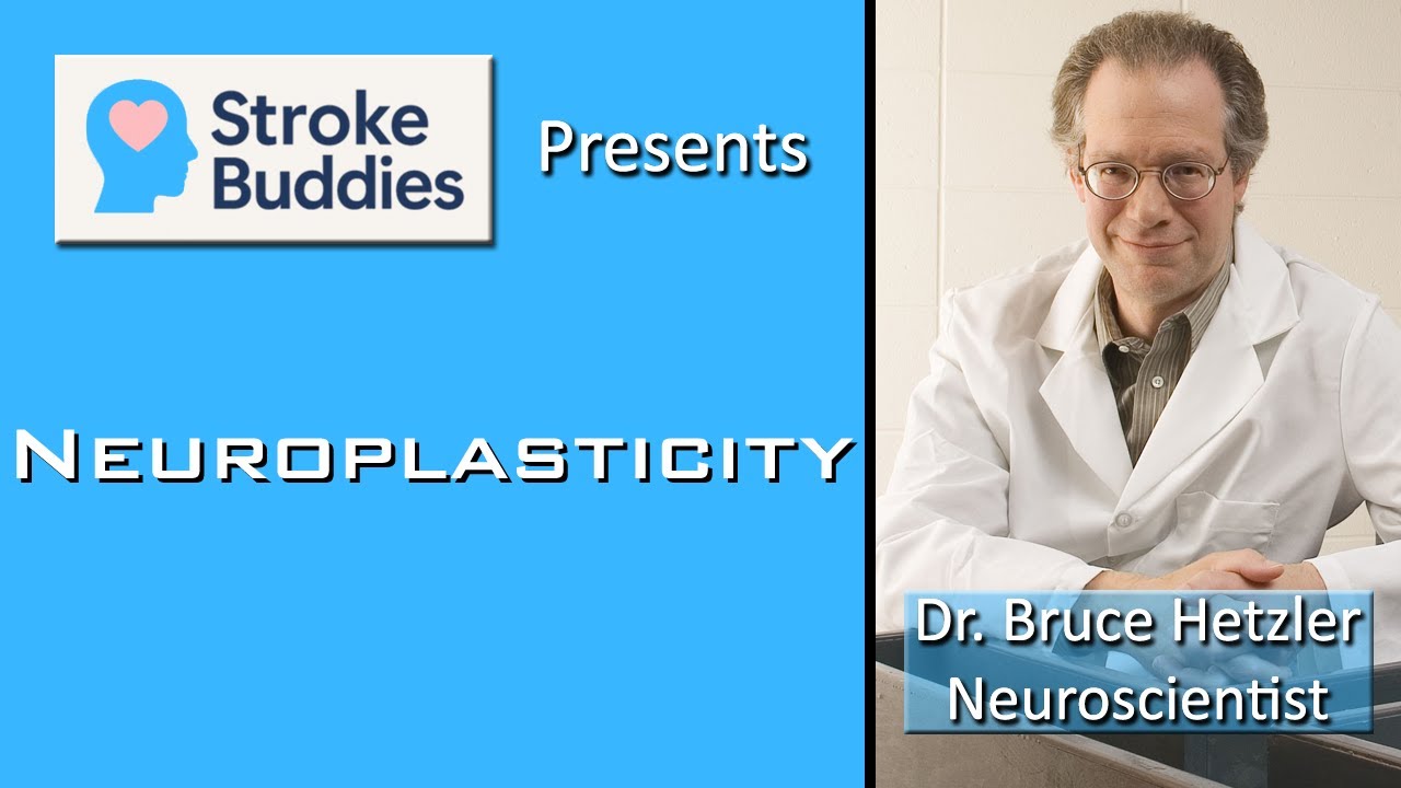 Stroke Buddies 20, Neuroplasticity, Dr. Bruce Hetzler