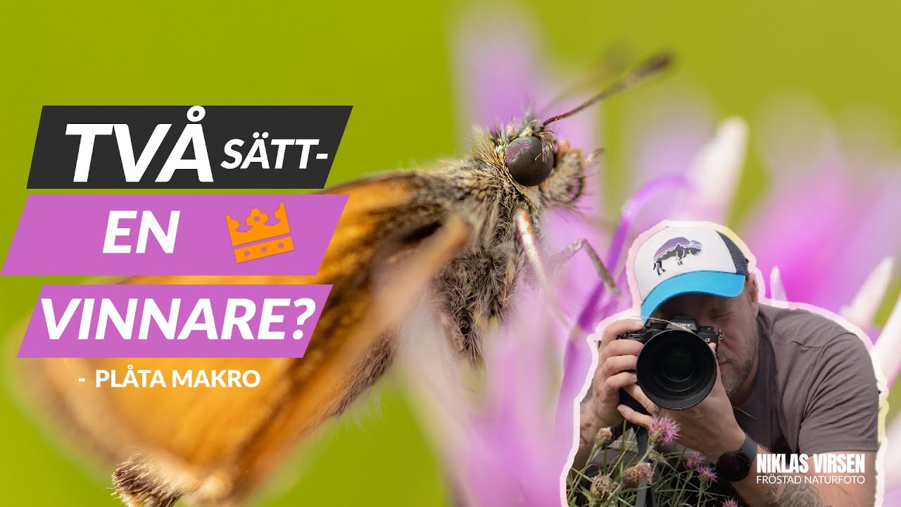 Två sätt att fota makro – men vilket ger bäst bilder?