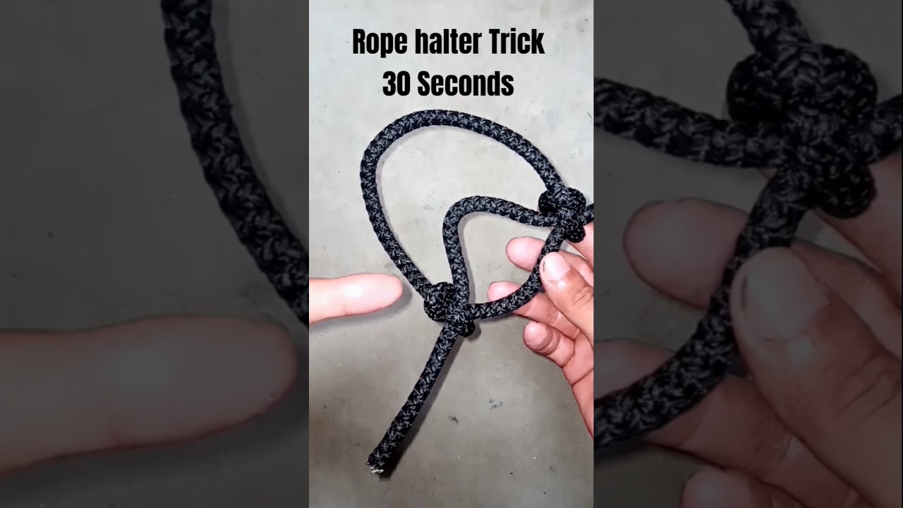 animals rope halter under 30 se onds.#knot #rope #tipsntricks #diy #lifeskills #short #handmade #yt
