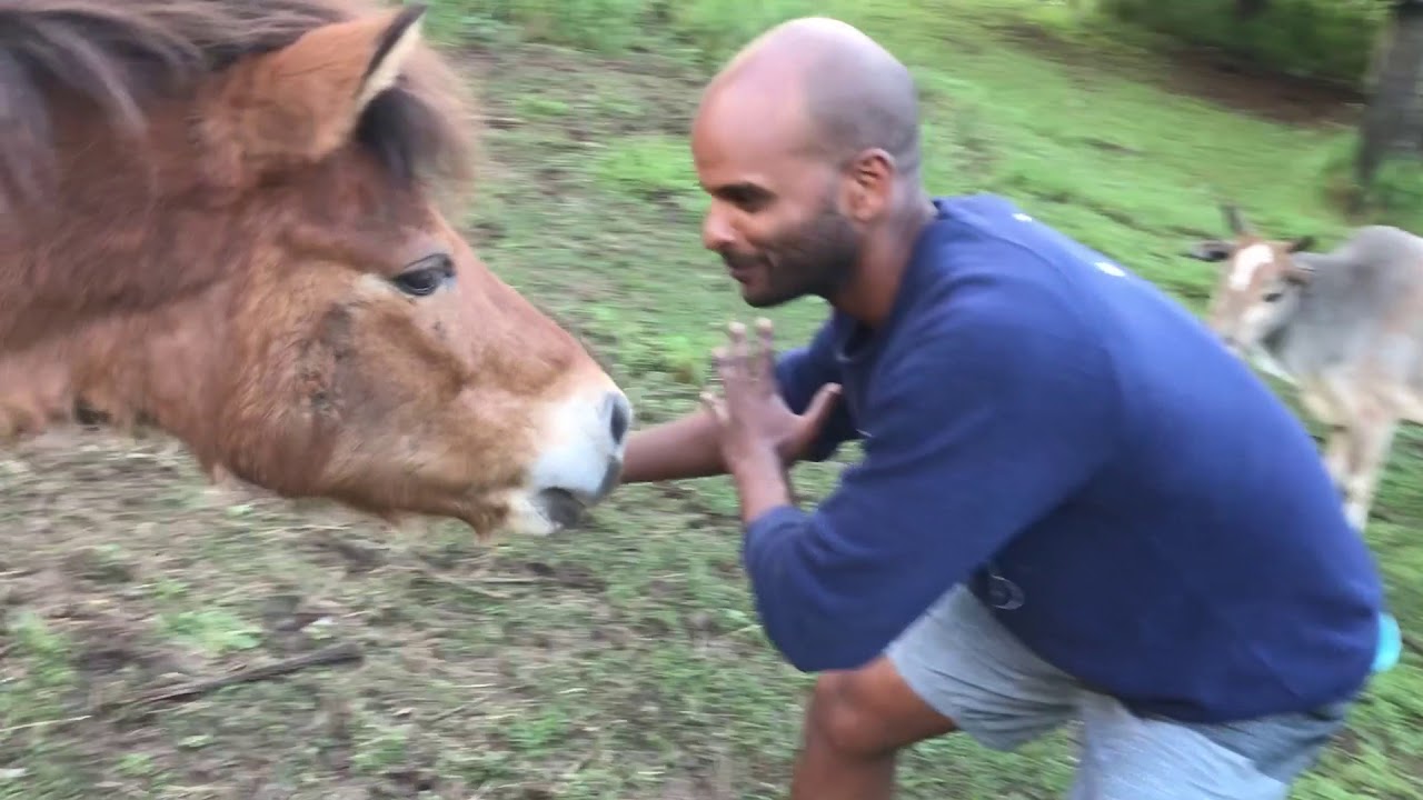 farm flow