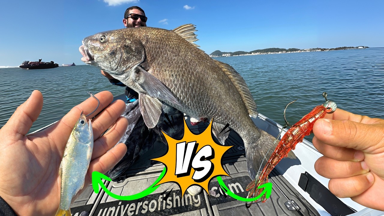 ISCA VIVA VS ARTIFICIAL NA PESCA DE GRANDES PEIXES! Você vai se surpreender!!!