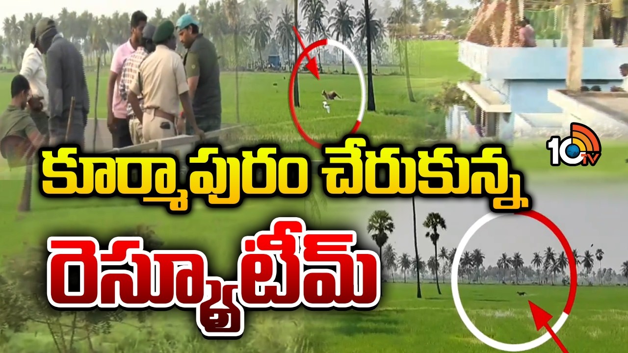 కూర్మాపురం చేరుకున్న రెస్క్యూ టీమ్ | Operation Begin To Rescue Tiger | East Godavari | 10TV