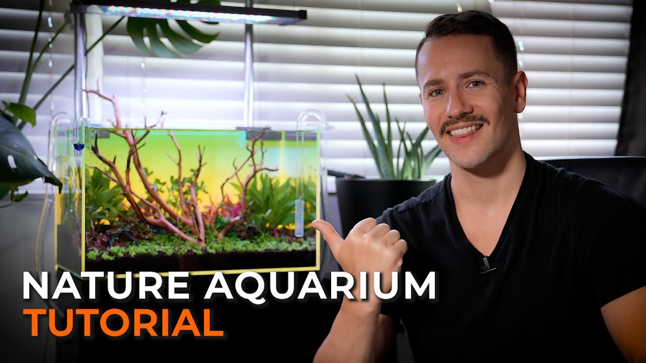 BEGINNER FRIENDLY PLANTED TANK SETUP | UNS 45U Nano Aquarium