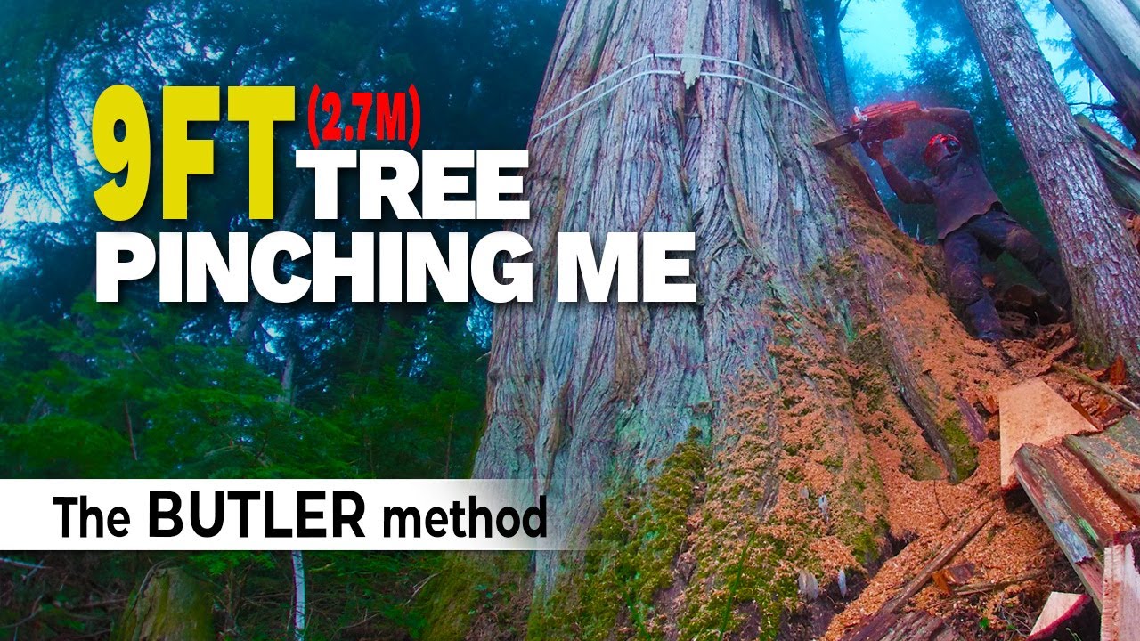 17.  9ft Hollow Tree | How To Get Un-Stuck