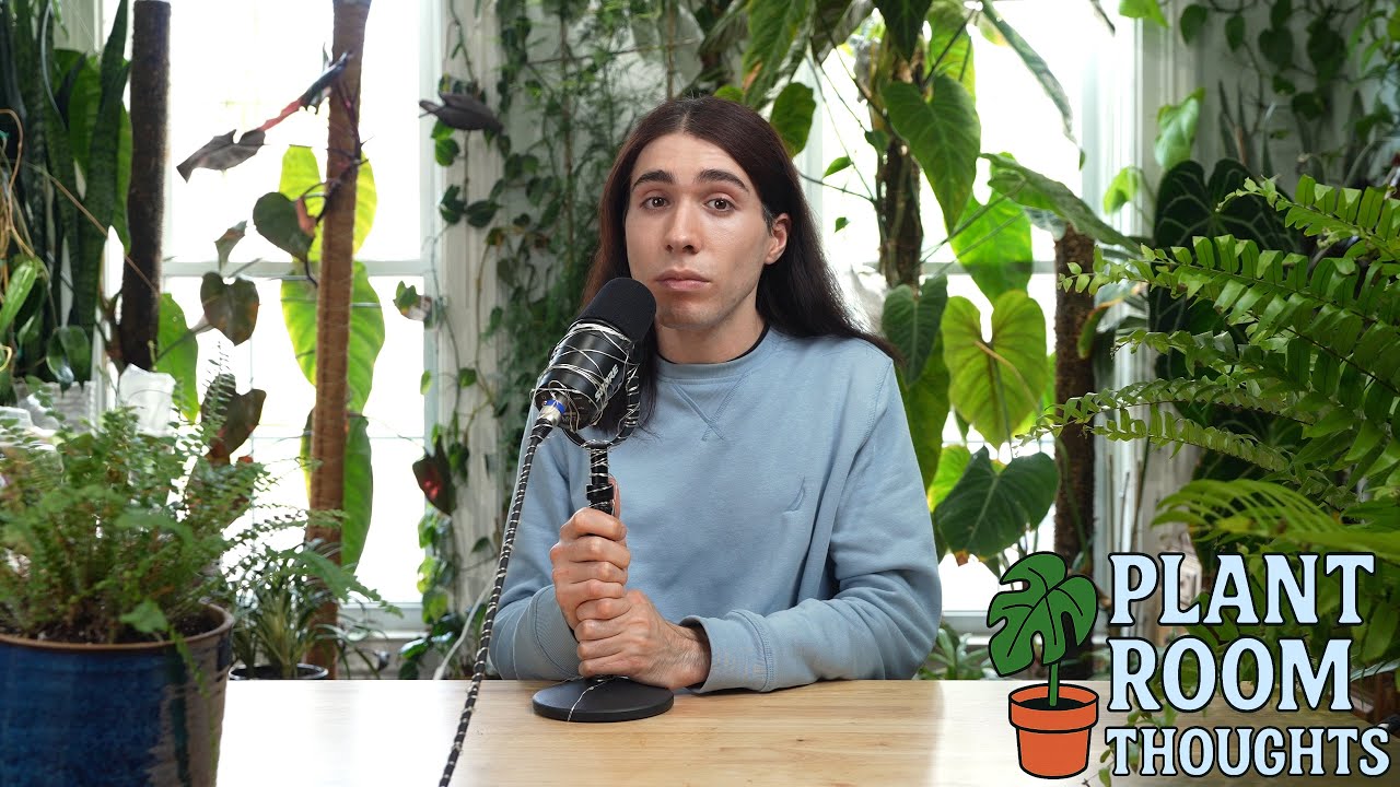 Offensive Wine Tasting | Plant Room Thoughts No. 6