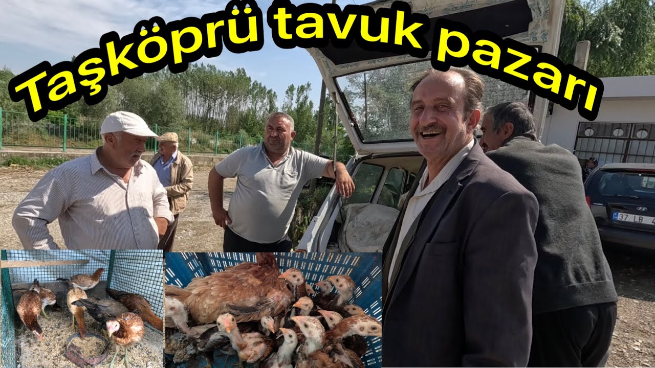 Kastamonu Taşköprü tavuk pazarında bu hafta neler oldu güncel fiyatlar 🦃🐓🐥