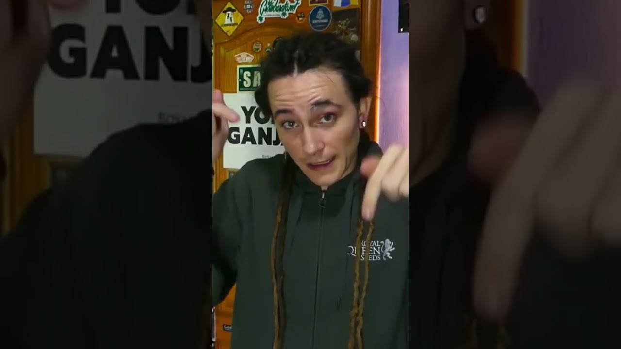 ZZ PUNCH SEGUIMIENTO INDOOR | @royalqueenseedsglobal | @marshydroeurope #oss