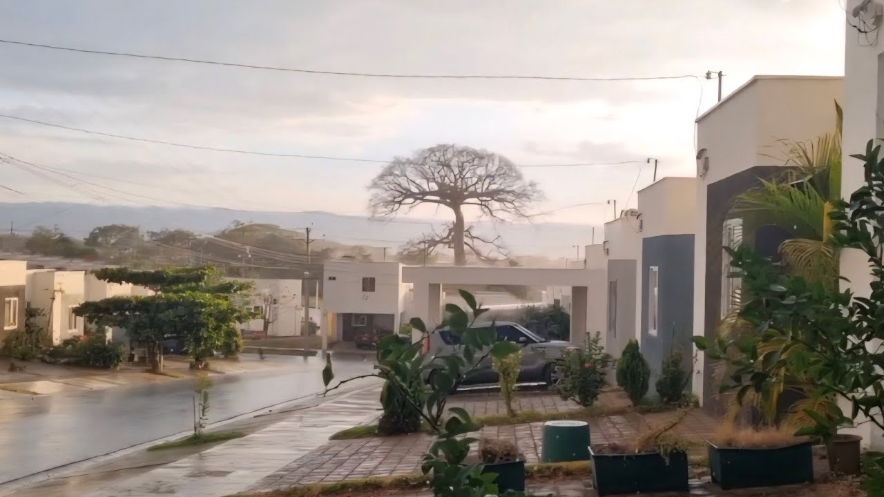 Llueve Moderadamente en Ciudad Marsella, Primer Lluvia del Año. 
