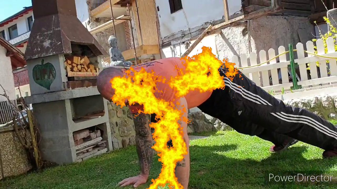 Gibanje živali 2 (za otroke)