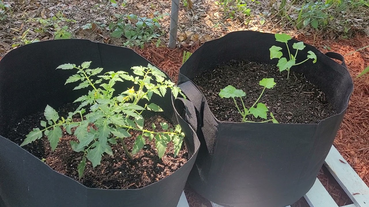 Gardzen Grow Bags - Smart Pots Alternative
