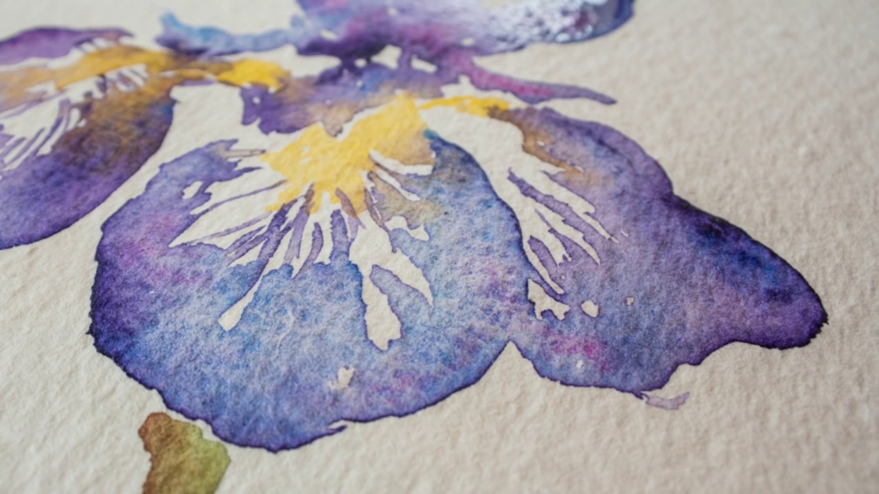 Paint an Iris flower in watercolor with Angela Fehr