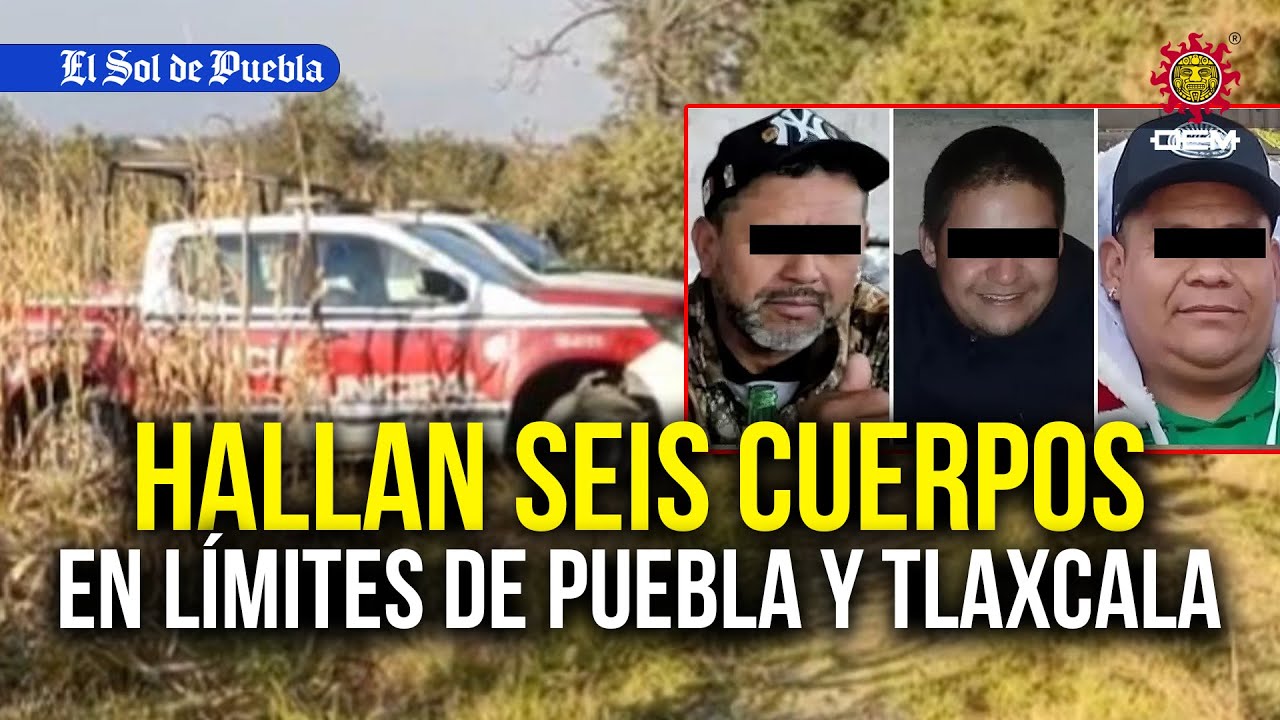 Hallan seis cuerpos en un paraje en los límites de Puebla y Tlaxcala… tenían ficha de búsqueda