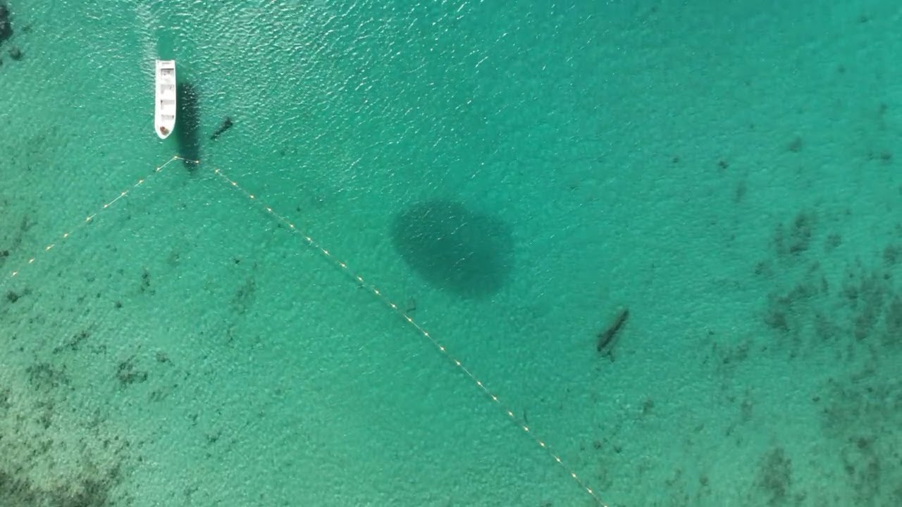 Cura&ccedil;ao Playa Santa Cruz | Viajante Solo&reg;