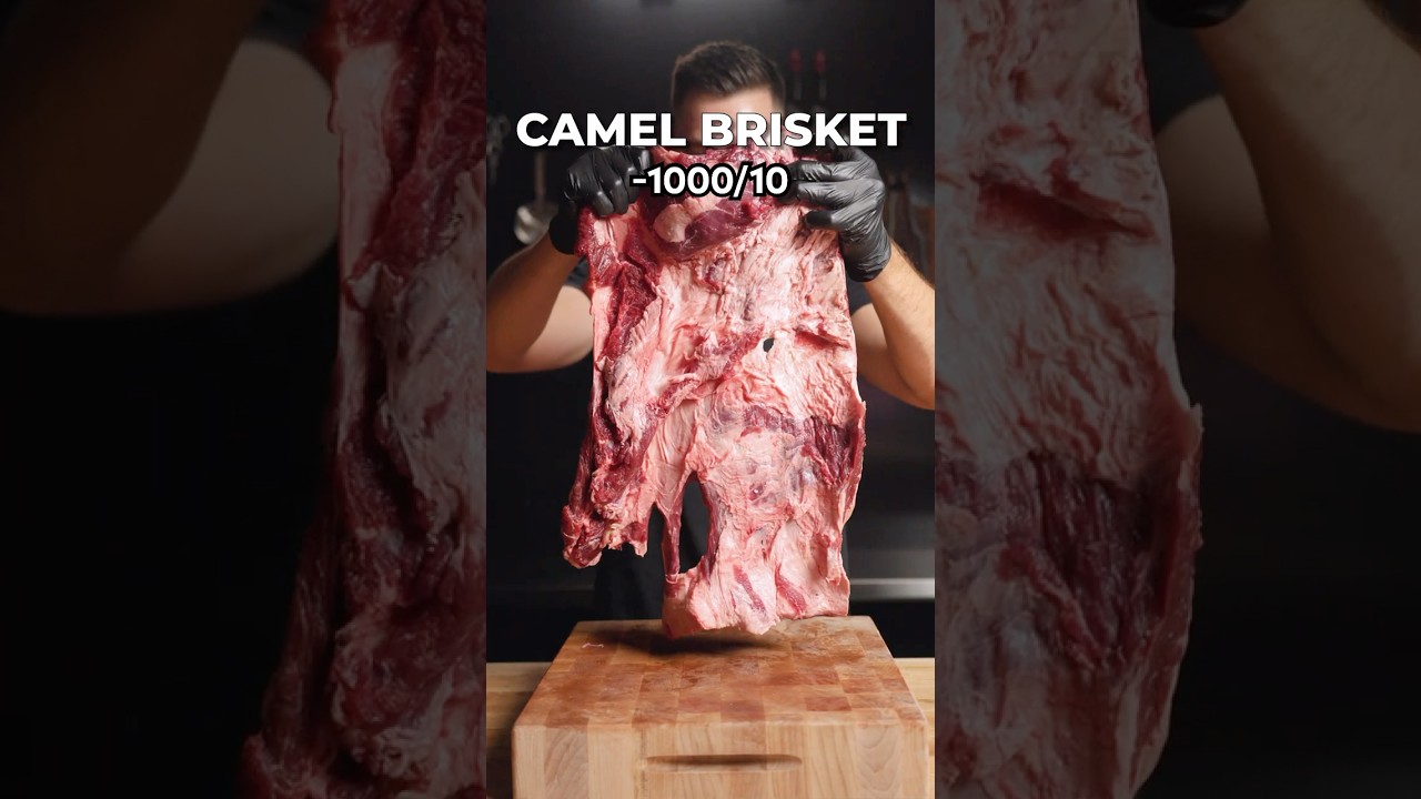 I Cooked EVERY Exotic Brisket