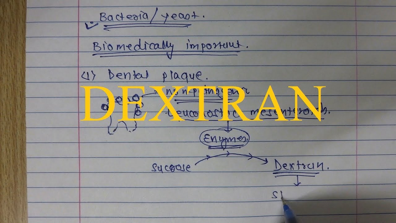 21. Dextran (Polysaccharide)