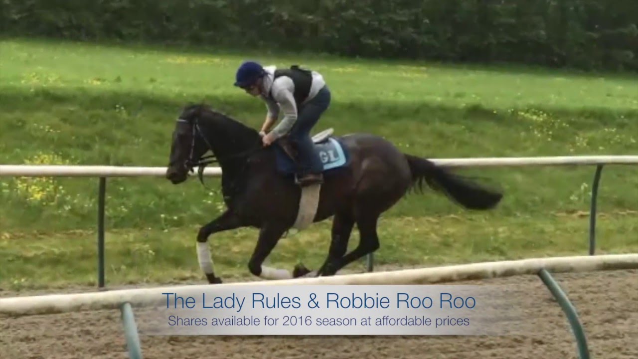 Racehorse shares available for 2016 season
