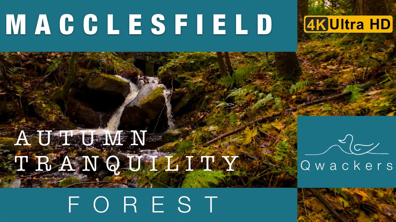 Macclesfield Forest and a Tumbling Stream #autumn #tranquility