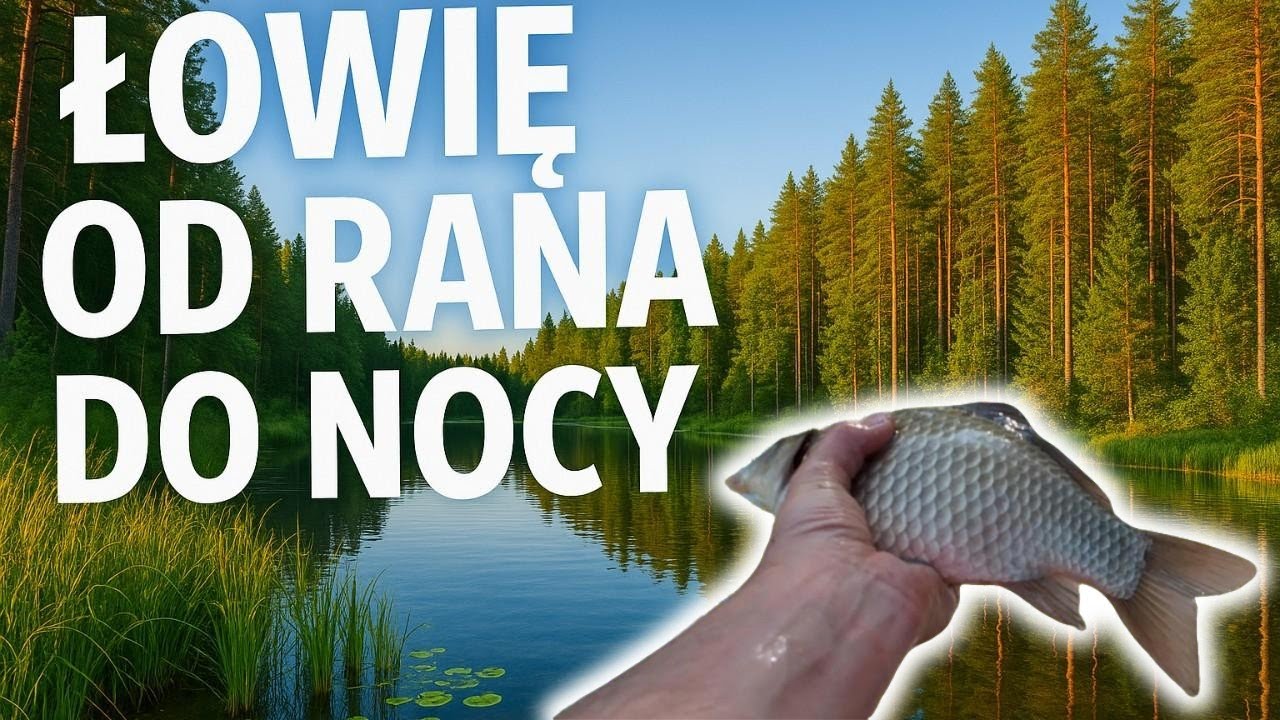 4 ZBIORNIKI w 1 DZIEŃ!